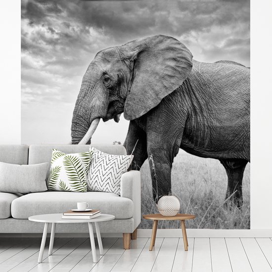 Behang - Fotobehang Olifant op de vlakte in zwart-wit - Breedte 350 cm x hoogte 350 cm