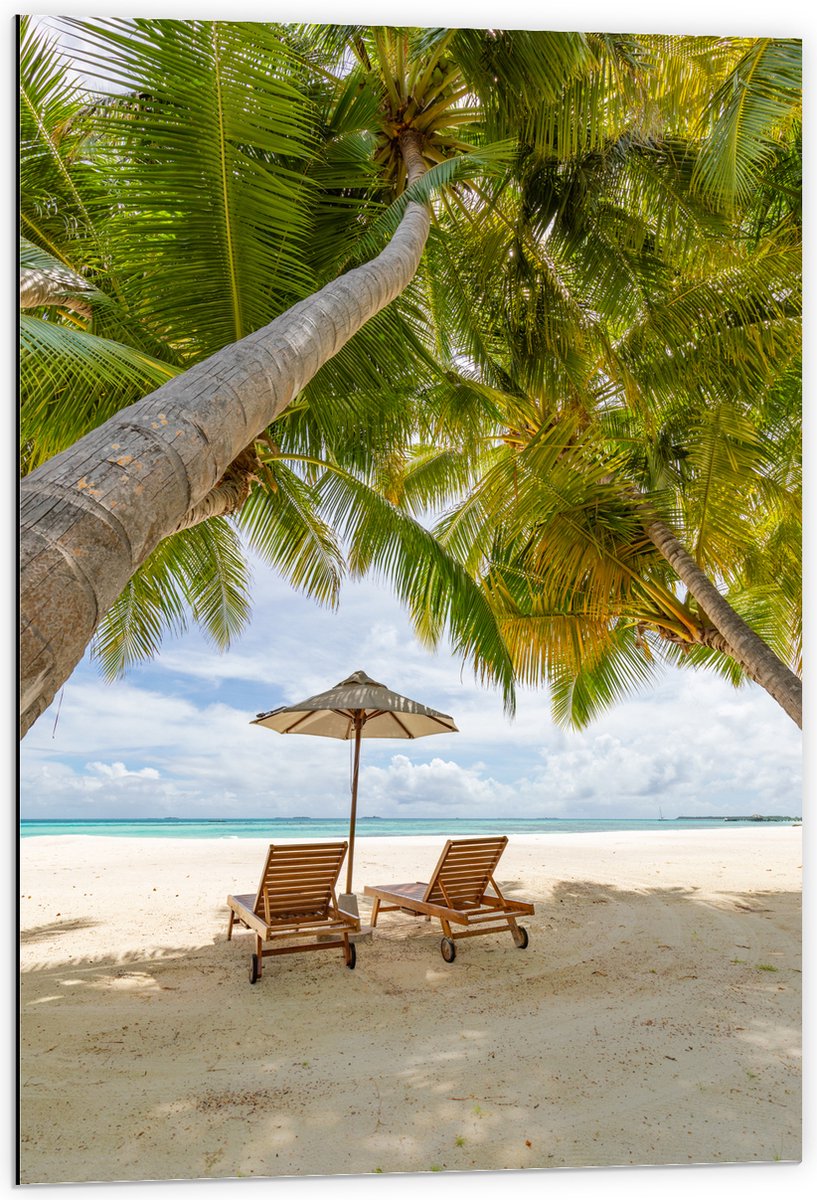 Dibond - Schuingroeiende Palmboom boven Ligbedden en Parasol op het Strand - 60x90 cm Foto