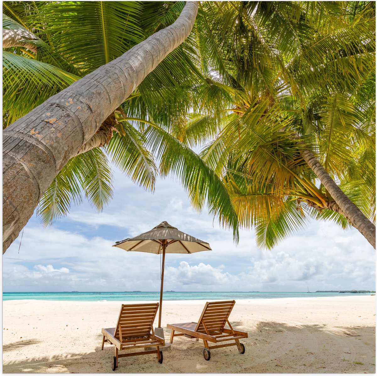 Poster Glanzend – Schuingroeiende Palmboom boven Ligbedden en Parasol op het Strand - 100x