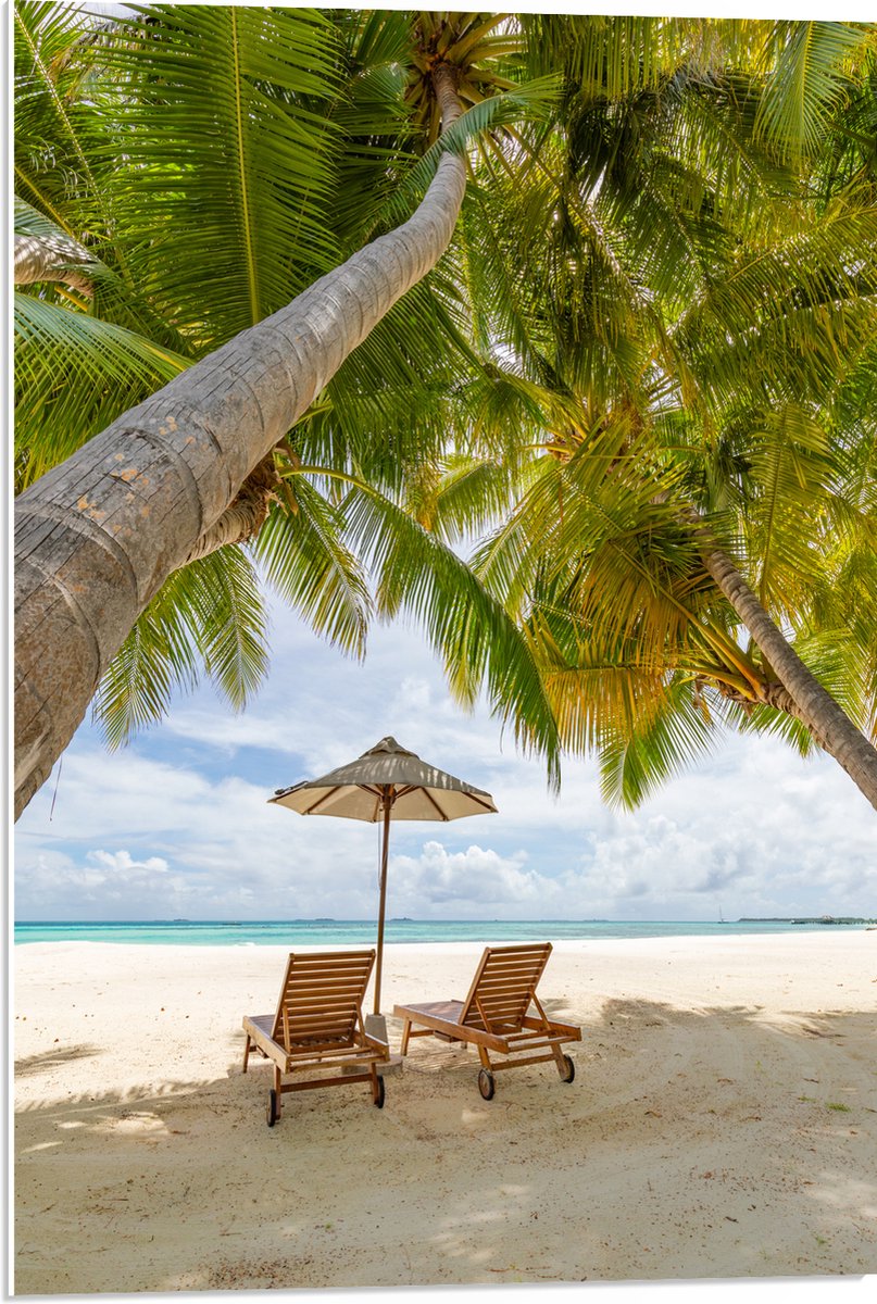 PVC Schuimplaat - Schuingroeiende Palmboom boven Ligbedden en Parasol op het Strand - 50x7