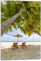 Tuinposter – Schuingroeiende Palmboom boven Ligbedden en Parasol op het Strand - 60x90 cm Foto op Tuinposter (wanddecoratie voor buiten en binnen)