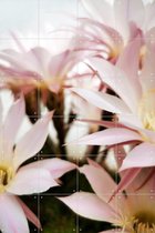 IXXI Belle de Jour - Wanddecoratie - Bloemen en Planten - 80 x 120 cm