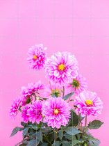 IXXI Flowers in Pink - Wanddecoratie - Zomer - 120 x 160 cm