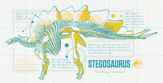 IXXI Stegosaurus Skeleton - Décoration murale - Dessin au Line - 120 x 60 cm
