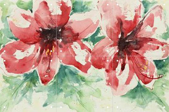 IXXI Amaryllis - Wanddecoratie - Bloemen en Planten - 60 x 40 cm