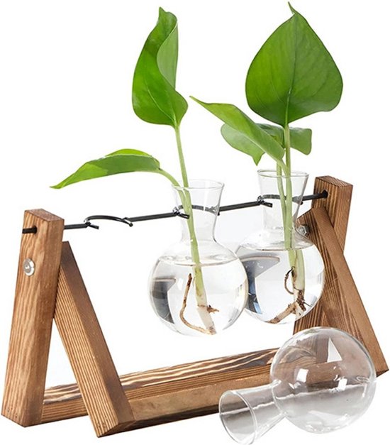 Planten Vaasjes Terrarium Stekjes - Houder van hout met glas - Hydrocultuur Bolvaasjes...