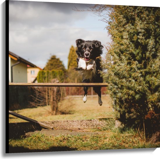 Canvas - Dieren - Hond - Tuin - Planten - Springen - 100x100 cm Foto op Canvas Schilderij (Wanddecoratie op Canvas)