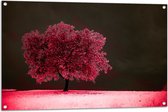 Tuinposter – Boom - Landschap - Roze - Bladeren - 105x70 cm Foto op Tuinposter (wanddecoratie voor buiten en binnen)