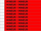 CombiCraft Standaard Bedrukte Polsbandjes MINEUR - Rood - 50 stuks (FR)