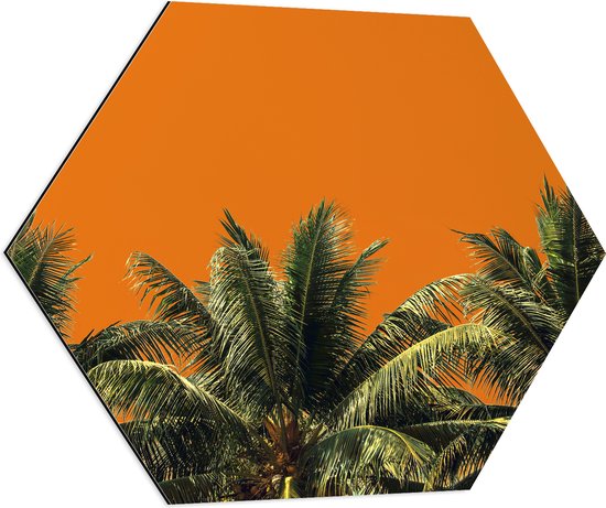 Dibond Hexagon - Toppen van Palmbomen tegen Oranje Lucht - 80x69.6 cm Foto op Hexagon (Met Ophangsysteem)