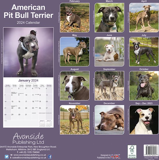 American Pit Bull Terrier Kalender 2024