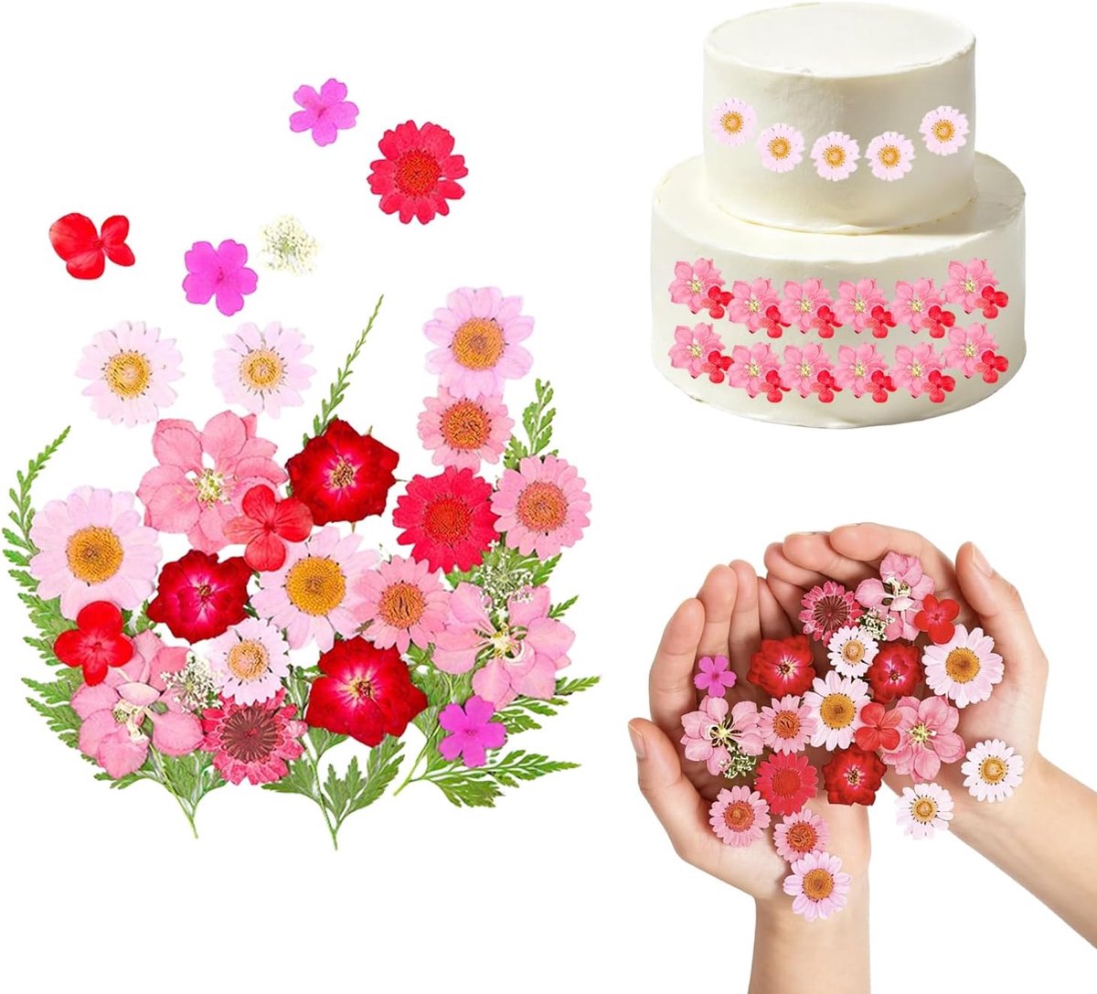 Gedroogde bloemen voor taartdecoratie - 30 stuks - natuurlijke droogbloemen - perfect voor cupcakes en desserts - ShopVlot