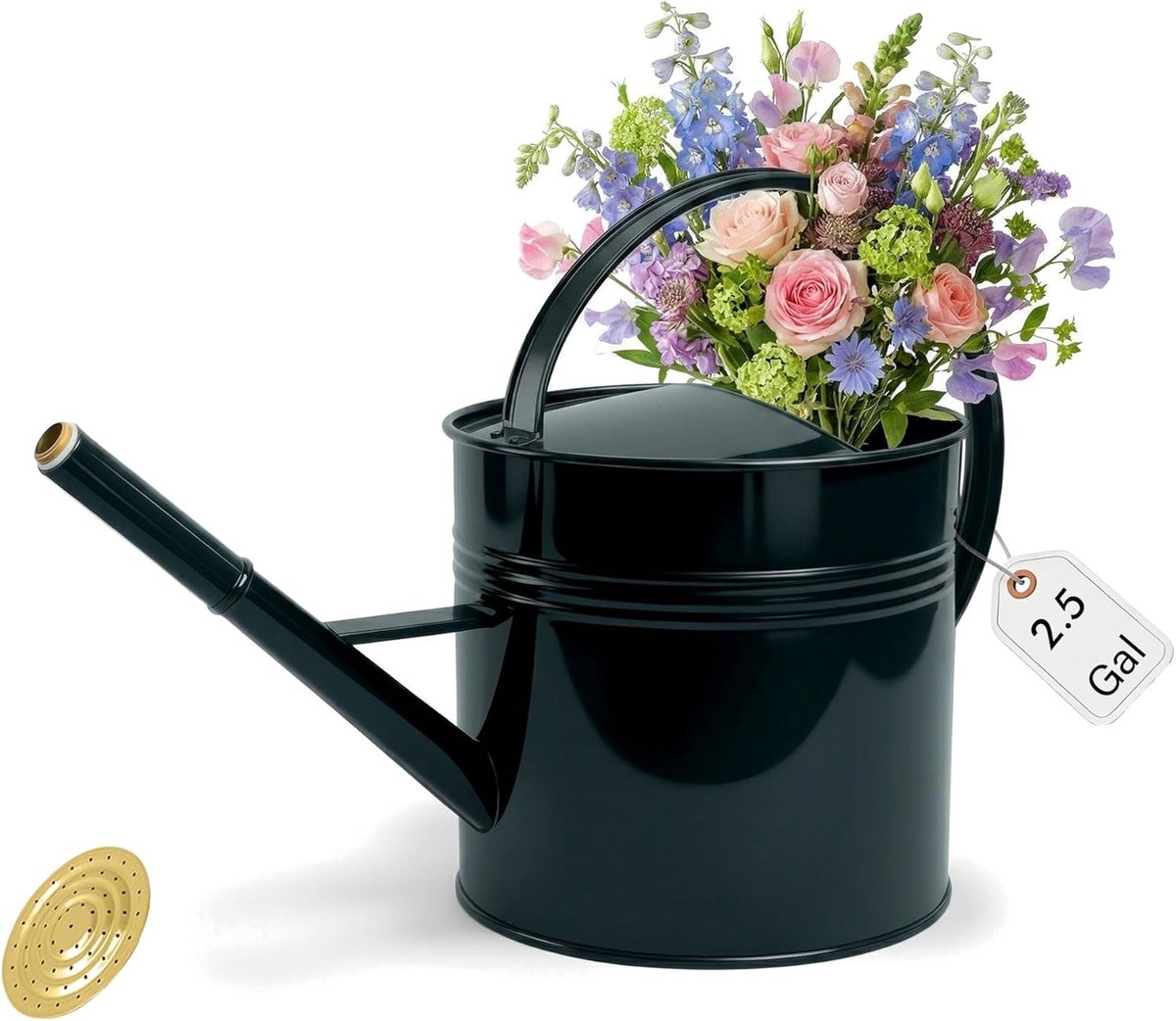 Metalen gieter van 2,5 gallon, 9,5 l grote gegalvaniseerde gieter voor buitenplanten met verwijderbare lange tuit en - ShopVlot