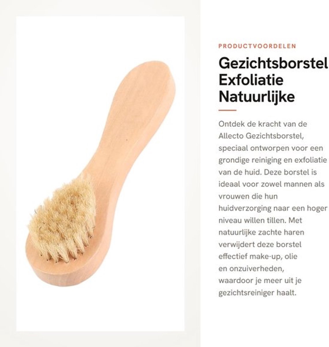 Gezichtsborstel - Exfoliërende Houten Borstel - Diepe Reiniging - Ergonomisch Handvat - Veilig voor de Huid - Varkenshaar - Exfoliator