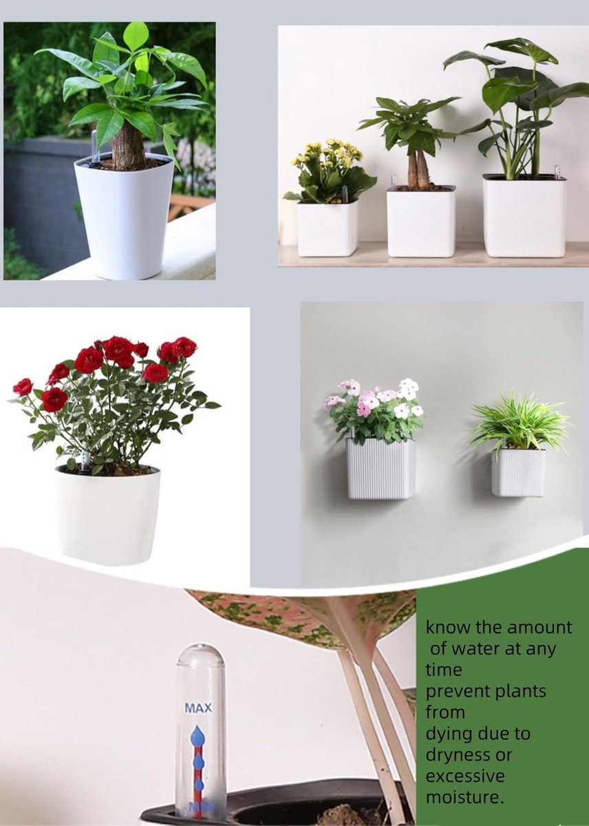 Waterlevelindicatoren 5-pack - Plastic - Duidelijke weergave - Ideaal voor plantenbewatering - ShopVlot