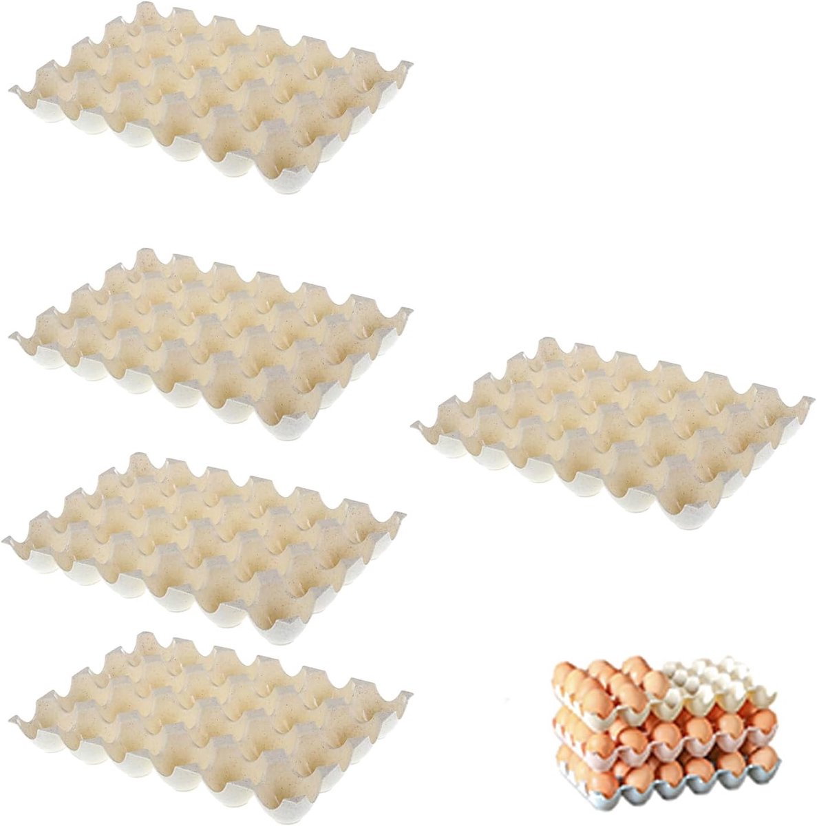 Eierdoos 5 stuks - Beige kunststof - Duurzaam en vershoudend - Ideaal voor keuken en hotels - ShopVlot