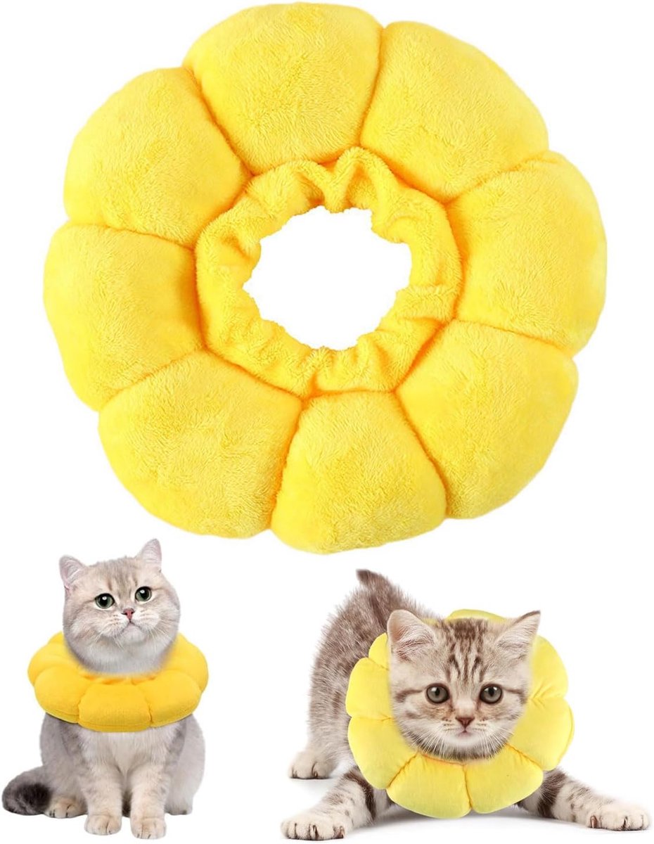 Kattenhalsband M - verstelbaar en waterdicht - zachte zonnebloemhalsband - nekbescherming na operatie - ShopVlot