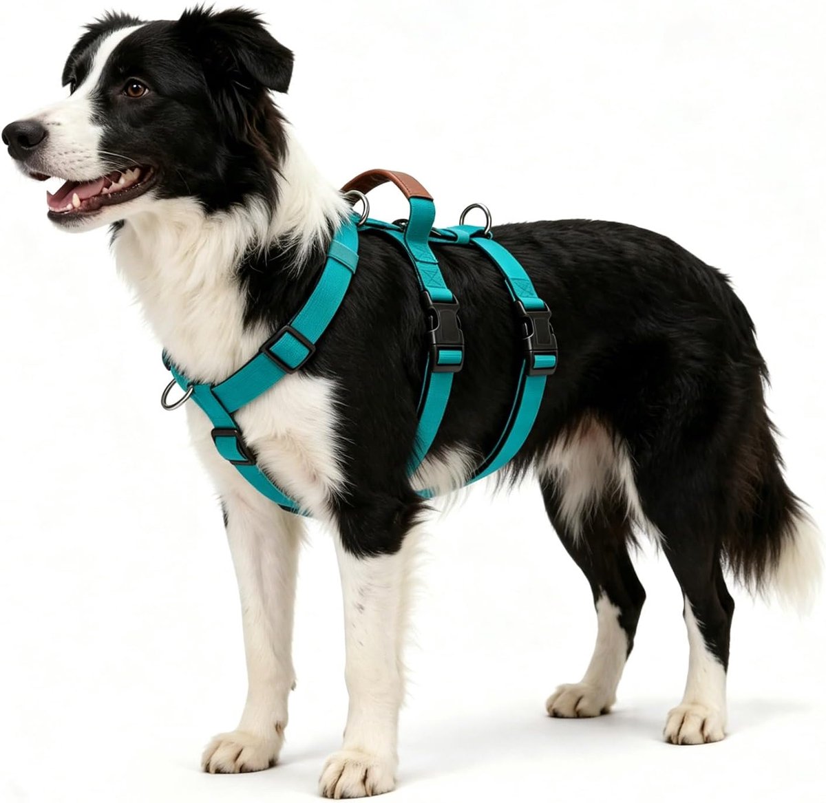 Hondentuig Escape Proof M - Blauw - Verstelbaar 3-punts veiligheid - Ideaal voor wandelen en trainen - ShopVlot