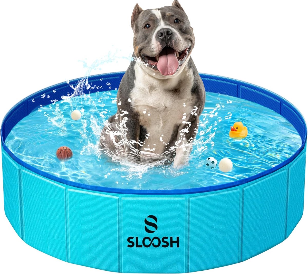 Portable Folding Dog Pool - Hard Plastic Kiddie Pool from SLOOSH - ShopVlot