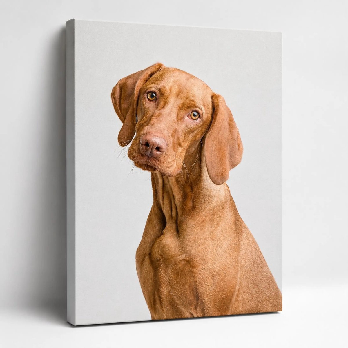 Canvas foto 80x60 cm - Wanddecoratie - Magyar Vizsla 1 - Muurdecoratie woonkamer - Slaapkamer decoratie - Kamer accessoires - Foto op canvas