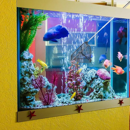 Visnet Set - Schepnetten Vissen - Aquarium Schoonmaken - Uitschuifbare Handgrepen - 3 Stuks - Zilver — afbeelding 2