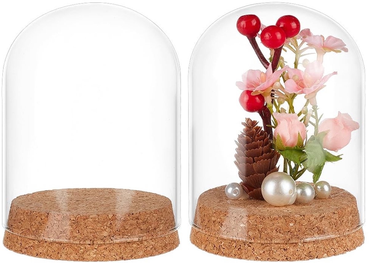 Dailygoods- Glazen Display Cloche - 2 Stuks - 8x12 cm - Koepel Glas met Kurk Basis - Voor Bloem/Plant/Miniatuur - Woondecoratie - Ambachtelijke Ervaring - Glazen Pot