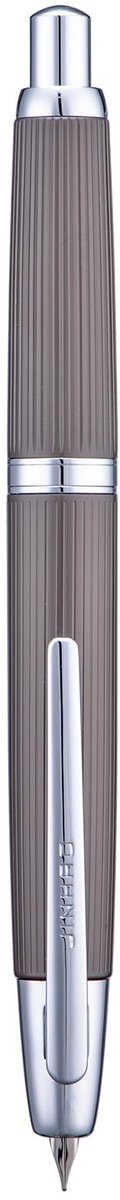 Dailygoods - Jinhao 10 Serie Druk vulpen, versie met zilveren clip, met een fijne penpunt intrekbaar door middel van een drukknop, set inclusief inkt converter en metalen pennendoosje, geborsteld mat grijs
