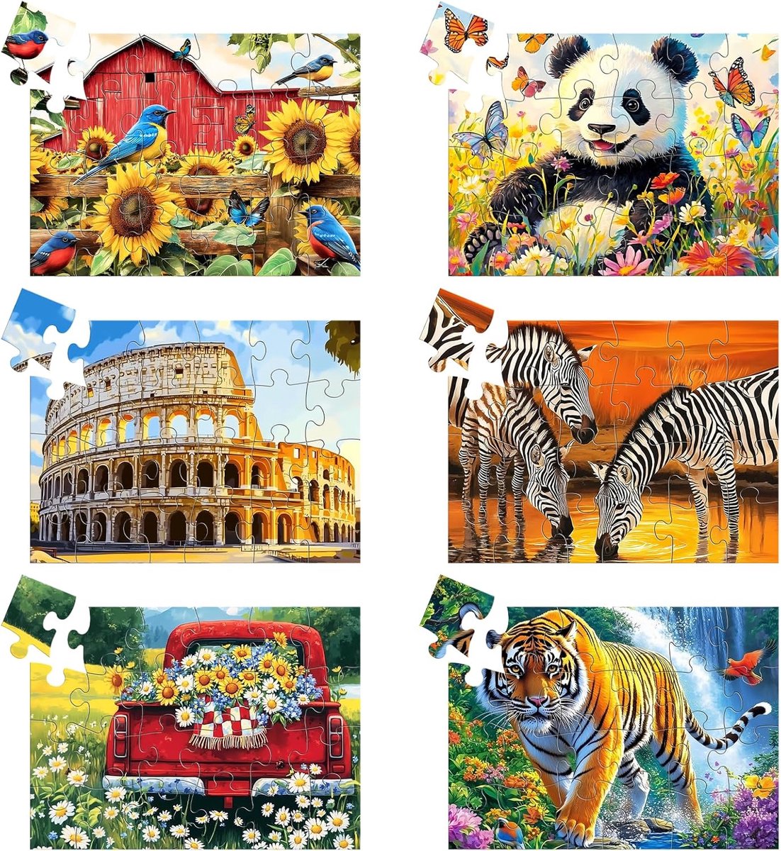 Set van 4 Puzzels met 24 Grote Stukjes voor Senioren
