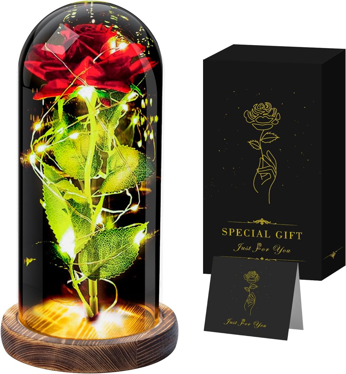 Eeuwige Roos - Gefeliciteerd Cadeau - Decoratie en Geschenk - Met LED Verlichting - 22 cm Hoog - Rood