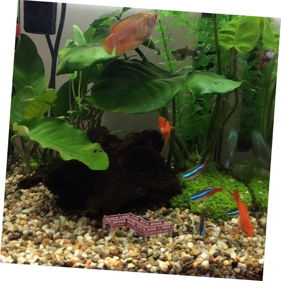 Bruine miniatuur loopbrug in een aquarium met grind, waterplanten en diverse tropische vissen.