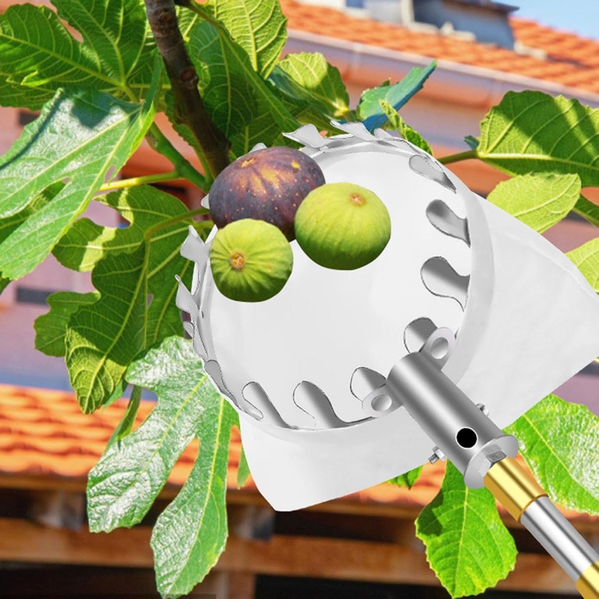 Fruitplukker Stok - Uitschuifbaar Gereedschap - Fruit Oogsten - Telescopische Verstelbaarheid - Tot 10 Meter - Metaal