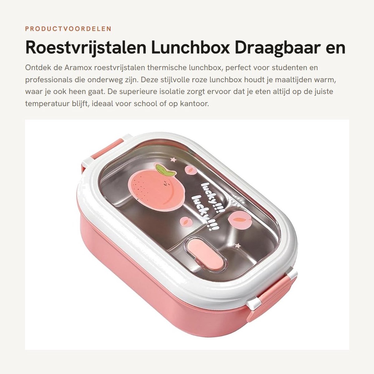 Dailygoods- Lunchbox Roestvrij Staal - Geïsoleerd - Lekvrij - Gecompartimenteerd - Voor Volwassenen/Kinderen - 22,5x14,5x8cm - Maaltijdcontainer