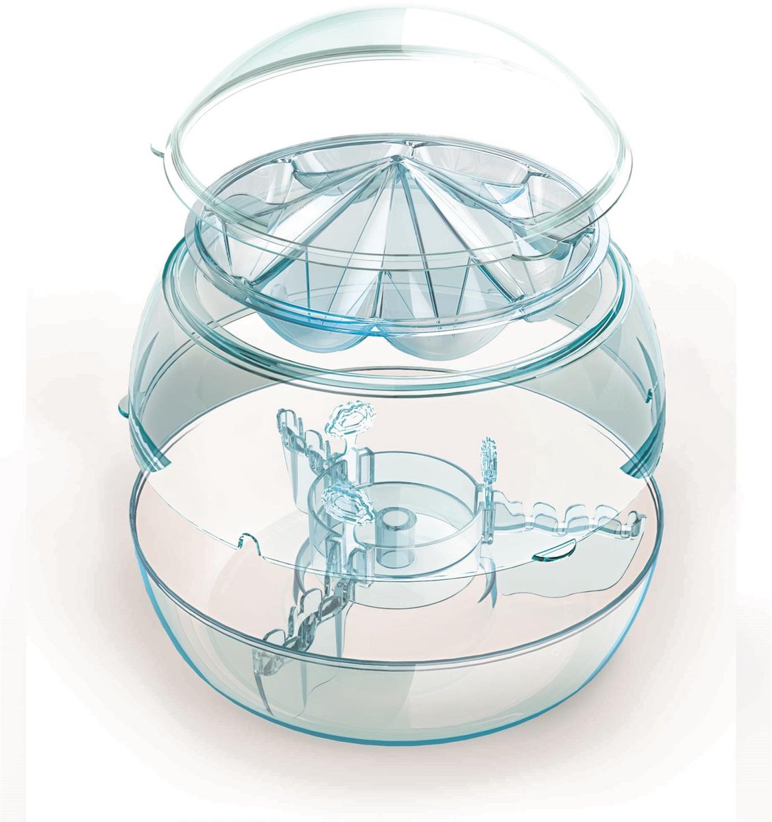Clementoni EcoSphere Biosfeer - Mini Ecosysteem Terrarium met Waterkringloop - Planten Kweken en Natuur Ontdekken - Wetenschap en Spel voor Kinderen — cadeau in Spellen & Speelgoed - foto 7