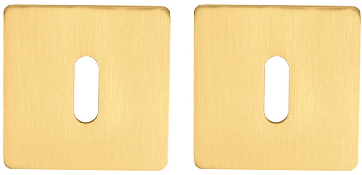 Sleutelrozet vierkant 55x3 mm ultra dunne rozet van 3mm mat goud PVD gecoat