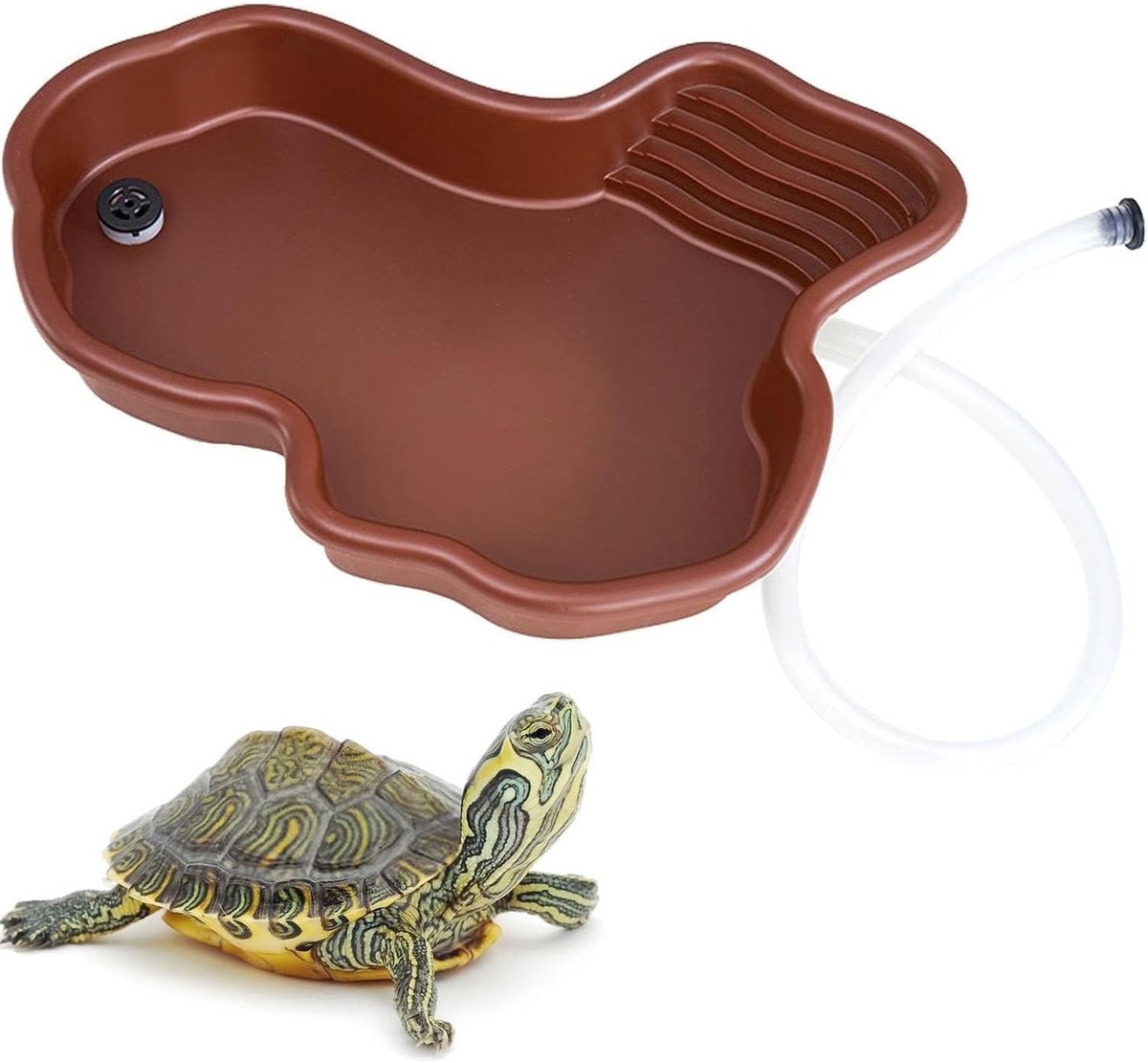 Solidchoice - Grote Reptielen Zwembad met Hellingsbaan voor Turtles