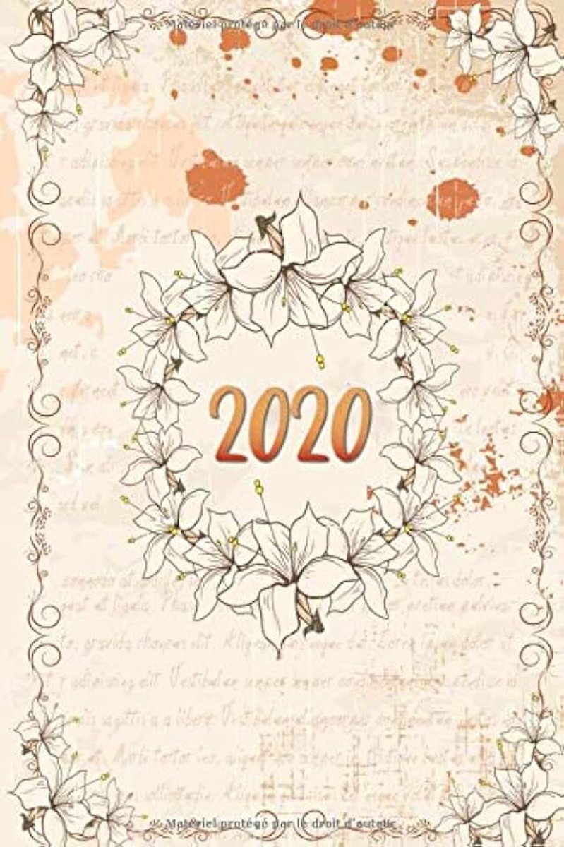 2020: Beau agenda planer 2020 Avec 12 mois format journalier A5 - planificateur, livre hebdomadaire simple et graphique