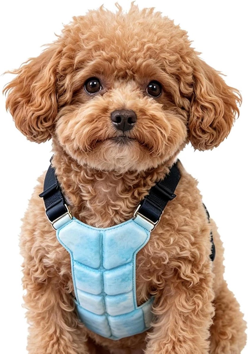 Honden Koelvest - Huisdier Vest - Warm Weer - Gel Koeltechnologie - Maat S - Blauw
