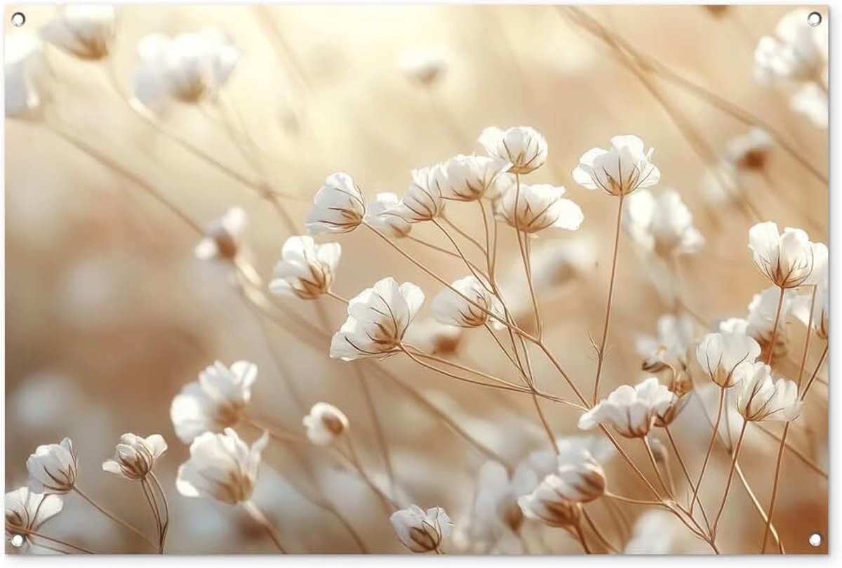 Tuinposter 120x80 cm Balkon Tuindecoratie Poster Garden Outdoor Posters Tuin Decoratie Tuinposters Voor Buiten Terras Tuinmuurdecoratie Wilde - Bloemen - Wit
