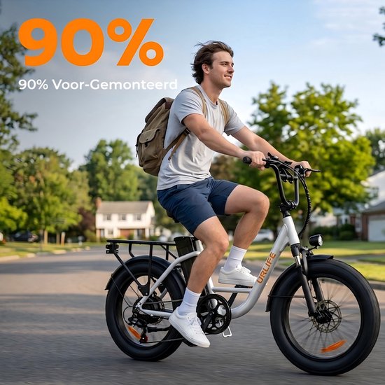 URLIFE E20 20" x 3 elektrische fiets met uitneembare 48 V 13 Ah-accu — afbeelding 3