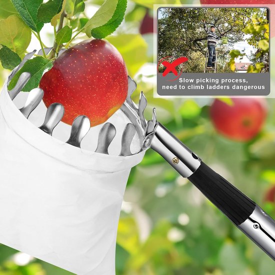 KZQ Fruitplukstok Telescopisch Met Mand 3,5 Meter Voor Appels Mango's Kersen En Citrusvruchten — afbeelding 2