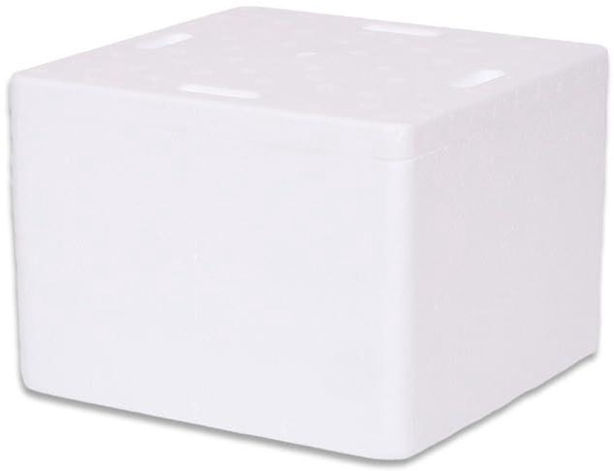 Thermobox met deksel - Piepschuim box - Voedsel transport - Isolerend en lichtgewicht - 32 liter volume - Wit