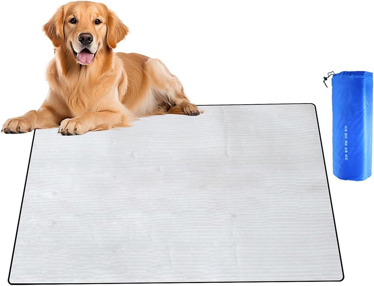 Thermische deken - Isolerende mat - Outdoor comfort - Warmte reflecterend - 150 x 200 cm - Zilver