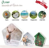Olymp Sound of Nature Box® Kerstmis Editie - Natuurgeluiden Vogelhuisje - 4 Natuurlijke geluiden en 1 Jingle Bells - 11 frontjes + 3 Kerst frontjes - Bewegingssensor - Thuis, Toilet, Kantoor - Wit