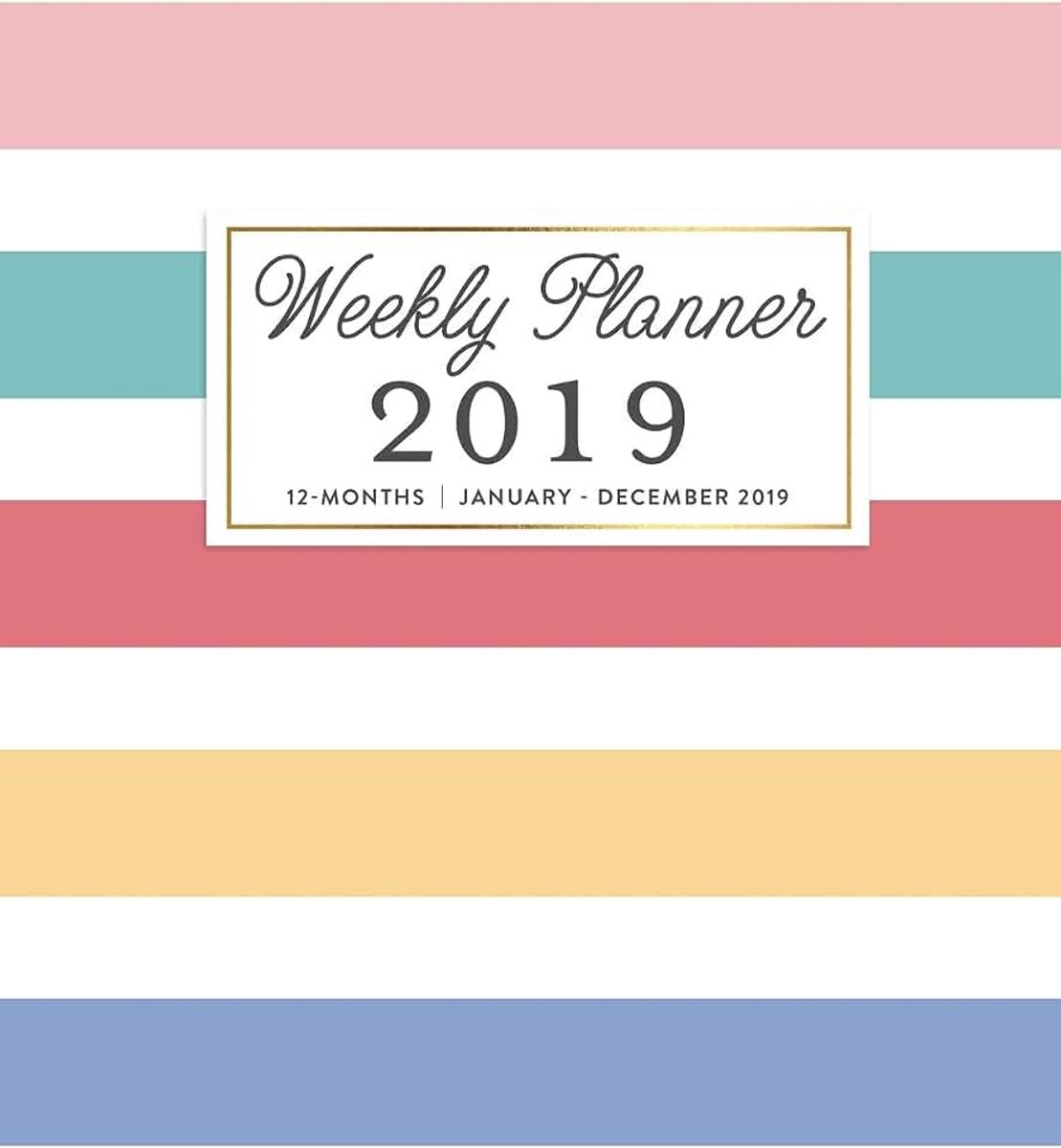 Planner 2019, 12 Months January - December 2019: Preppy Rainbow Stripe Agenda Book, 2019 Splendid Planner