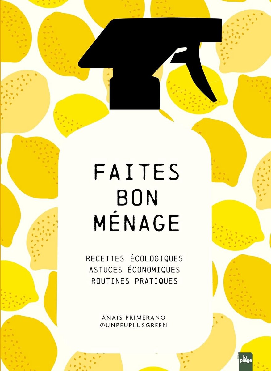 Bon ménage: Recettes écologiques, astuces économiques, routines pratiques