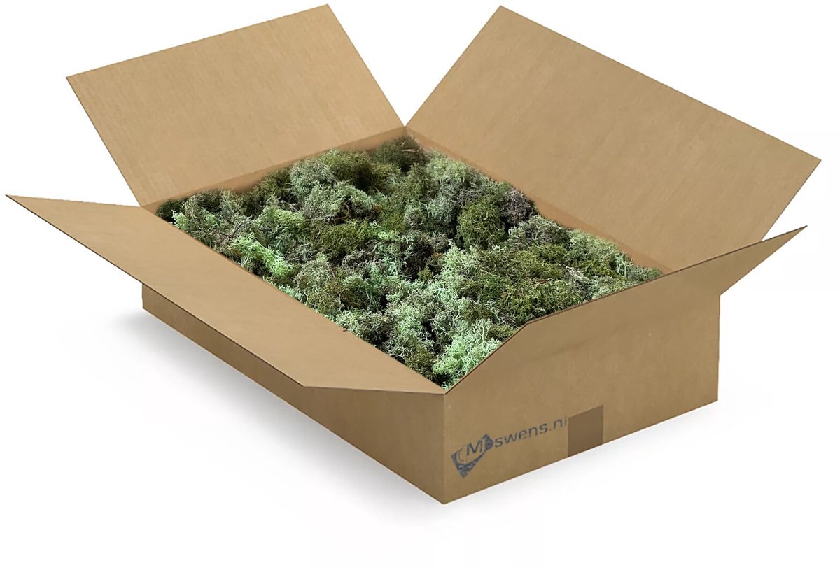 Moswens ECO mos - 1,5 KG - Doos L - Mix Mentha 0,30 m²