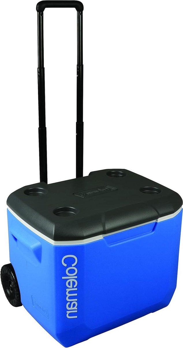 Passieve Koelbox - Thermobox Ijsbox - Buitenactiviteiten Opslag - Hoge Koelcapaciteit - 60 Liter - Blauw