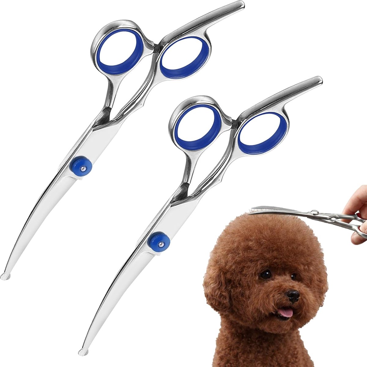 Set van 2 professionele vachtschaar, gebogen voor honden en katten, afgeronde veiligheidspunt voor gezicht en poten, hoogwaardig roestvrij staal en ergonomisch design