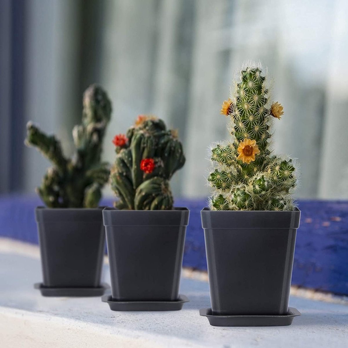SnelShoppen - 24 Stuks Vierkante Bloempotten 7cm - Dikke Plastic Plantenpotten voor Succulenten - Inclusief Schalen voor Kleine Planten - Zwart