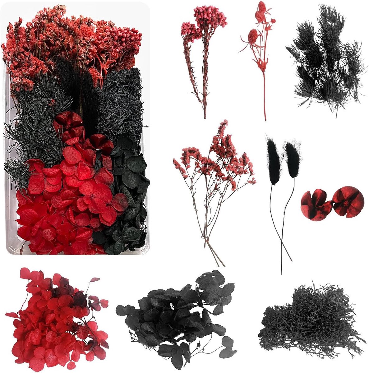 SnelShoppen - Dried Flowers voor Hars, Decoratieve Gedroogde Bloemen voor Kaarsen en Epoxy Hars, Handwerk en Scrapbooking - Natuurlijke Bloemen in Zwa